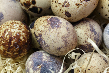 Obraz premium Food background top view of quail eggs close-up containing vitamin A, B, PP, B12, amino acids, beta-carotene, calcium, magnesium, iron, phosphorus, protein, choline, riboflavin, folic acid, selenium