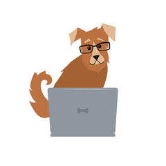 A dog with glasses is sitting at a laptop. Vector illustration on white background.