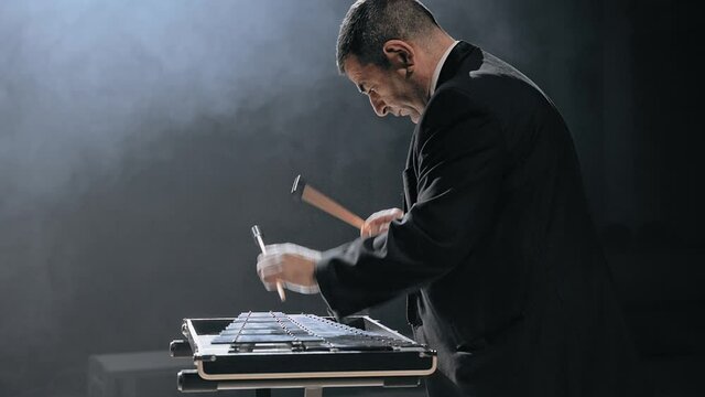 Man musician playing metallophone