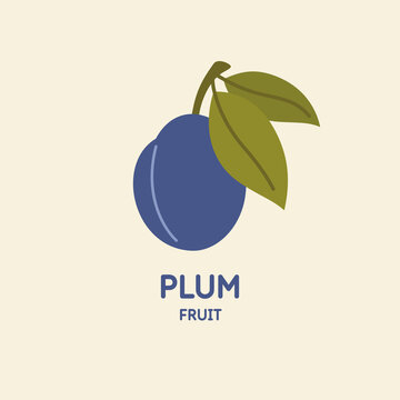 Illustration of a plum in a flat style. Isolated image on a light background. Vector icon.
