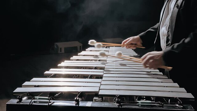 Man musician playing metallophone