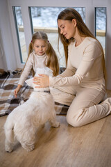 A beautiful and happy young mother and her daughter caress a Dog of the West Highland White Terrier breed at home by the window. Comfort. Warm tones.