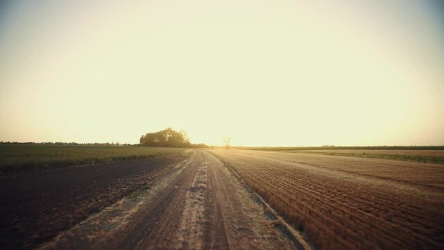 Dirt road at the dawn. Summer evening over farmland. Path to sunset. Agriculture. Сountry road between fields. Rural landscape.