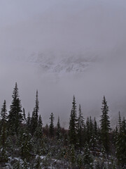 Eastern rock face of rugged Mount Edith Cavell viewed through gap in the thick fog on cloudy morning in autumn season in Jasper National Park, Canada.