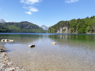 ALPSEE