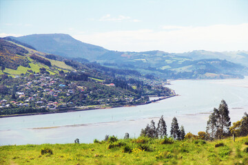 Coastal view from top of the grassland mountain in Dunedin, Otago Peninsula, South Island New Zealand