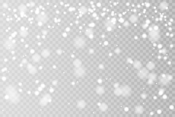 Falling Christmas Shining transparent beautiful, little snow isolated on transparent background. Snow flakes, snow background. Vector heavy snowfall, snowflakes in different shapes and forms.