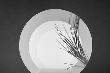 Abstract dark grey stage with podium with tunnel of round frames with perspective, white light in silhouette, palm leaves, scene mockup in floral style for presentation cosmetic product or goods.