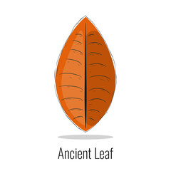 Leaf sketch and illustration.