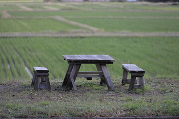 公園の木製ベンチとテーブル