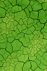 Green abstract background. Cracked paint on an old surface