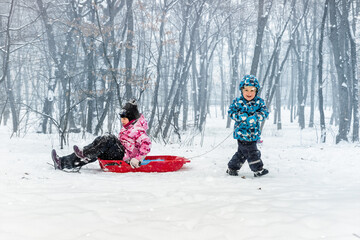 Two cute adorable funny sibling kid friend wear warm jacket enjoy have fun sledging at city park...