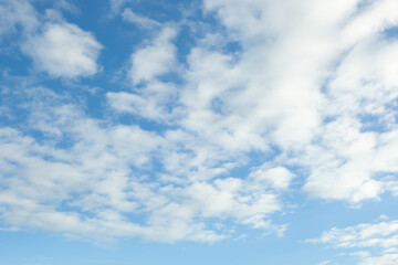 Naklejka na ściany i meble Blue sky with puffy clouds
