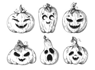 Set of different pumpkins for halloween. Halloween pumpkin. Vector illustration