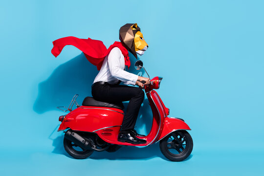 Full length profile side photo of freak lion mask guy motorcycle driver ride theme occasion isolated over blue color background