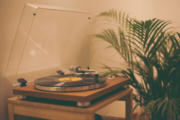 Vintage vinyl records player at home with a green plant