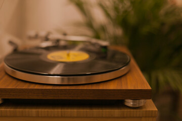 Vintage vinyl records player at home with a green plant