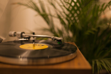 Vintage vinyl records player at home with a green plant