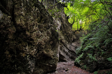Chechen scenery. Nihaloy gorge. Russia
