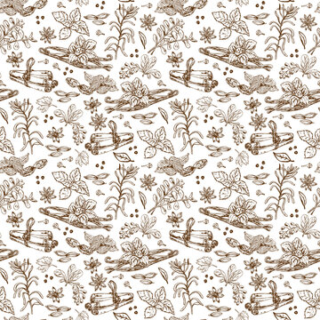 Seamless pattern with herbs and spices hand drawn with ink lines in doodle sketch style. Mint, cinnamon, cardamom, cumin, star anise, cloves. Vector For kitchen fabrics, menu, cover

