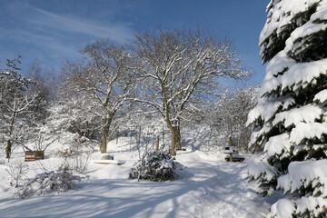 Fototapete bei efototapeten.de bestellen   