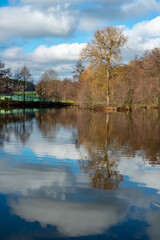 A pond with trees in autumn colors