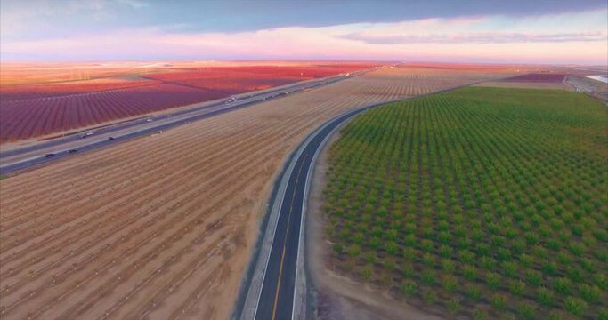 Aerial of Farming Almond pistachio trees and power lines