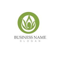 olive icon vector illustration