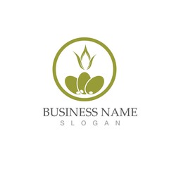 olive icon vector illustration