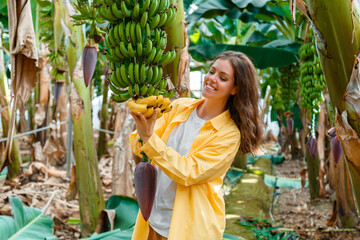 Happy smiling Woman farmer pluck ripe yellow bananas from bunch. Banana fruits harvest on young palm trees with flower against plantation, tropical garden, rural farm, banana farm - Powered by Adobe