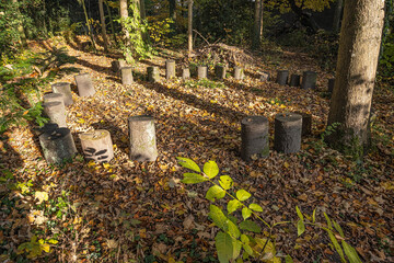 Holzsitze im Wald, Kt. Luzern, Schweiz