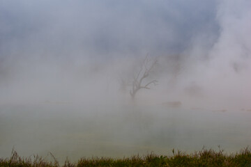 thick fog in nature. the soil is soaring. scenic landscape with beautiful fog