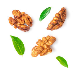 Walnut Isolated. Walnut kernel Nut  on white background. Collection. Top view. Flat lay.