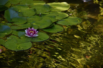 Butchart Garden, Vancouver Island, BC, Canada