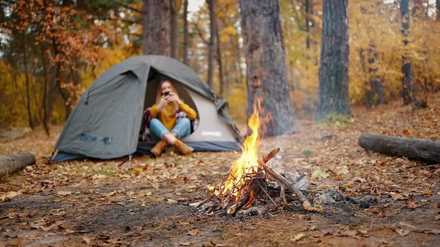 Young woman sitting in tent and using her smartphone. Autumn forest, trees with yellow foliage, burning campfire. Tourism, camping