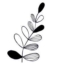 Botanical illustration of leaves in a line style for floral patterns, bouquets and compositions on a white background. Elements for greeting cards.