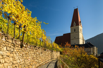 Weissenkirchen Wachau Austria in autumn colored leaves and vineyard - obrazy, fototapety, plakaty