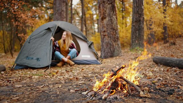 Young female sitting in tent, looking out of it and smiling. Autumn forest, trees with yellow foliage, burning campfire. Slow motion