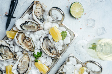 Fresh oysters on metal tray with lime, lemon and ice, banner, menu, recipe place for text, top view