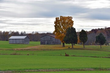barn in autumn