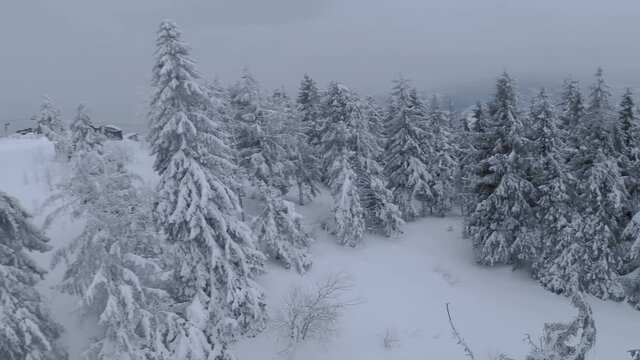 Aerial view of a fabulous winter mountain landscape close-up. Fast smooth flight between snow-covered trees. Ukraine, Carpathian Mountains. Filmed on FPV drone.