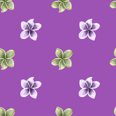 Hawaiian plumeria flower seamless pattern on purple background. Exotic tropical wallpaper.