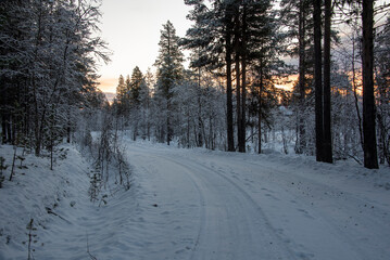 Verschneiter Wald, Lappland, Finnland