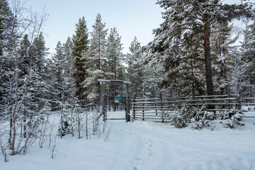 Verschneiter Wald, Lappland, Finnland