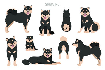 Shiba Inu, Japanese small size dog coat colors, different poses clipart.  Vector illustration
