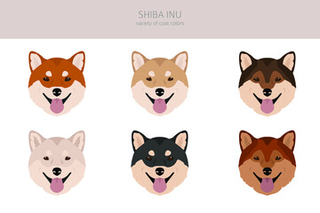 Shiba Inu, Japanese small size dog coat colors, different poses clipart.  Vector illustration