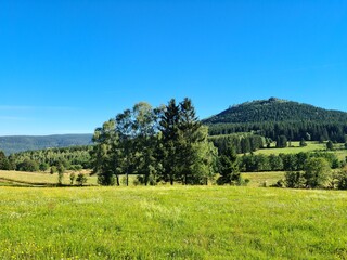 Fototapeta premium landscape with mountains