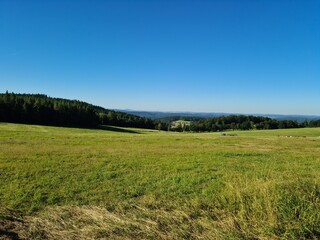 Obraz premium field and blue sky