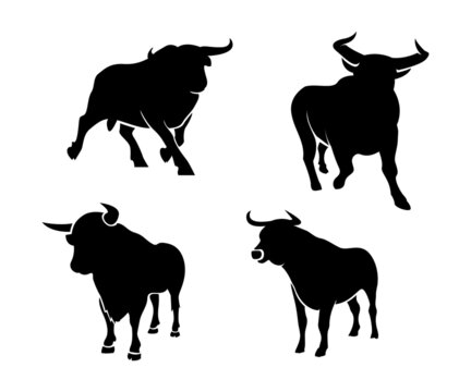 silhouettes of bull, design vector of bull, bull logo design