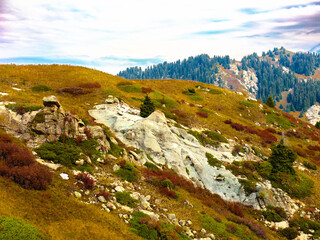 landscape in the mountains